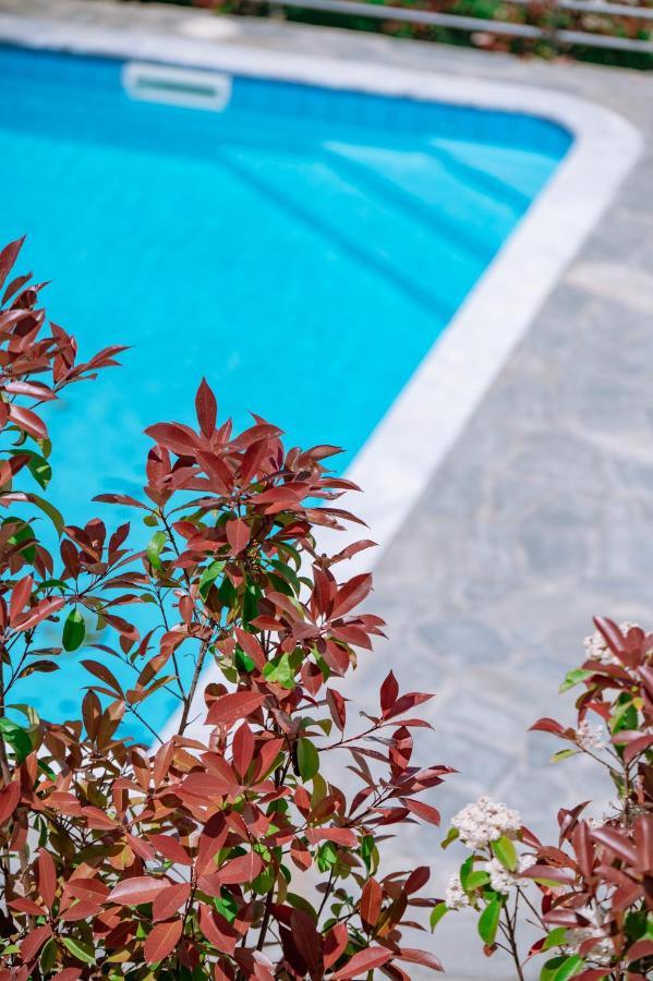 Danai & Palm Residential Complexes Apartment